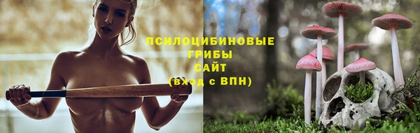 2c-b Абинск