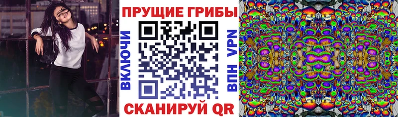 Псилоцибиновые грибы Magic Shrooms  где найти   Ужур 