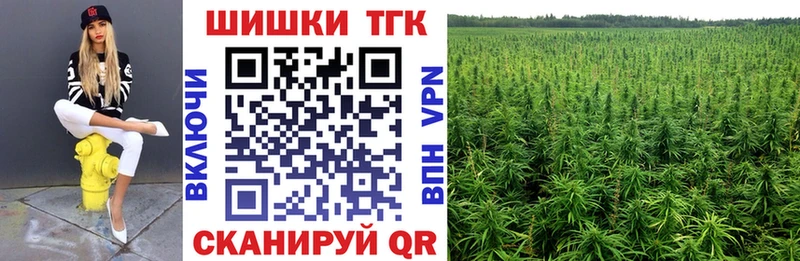 что такое   Ужур  Марихуана индика 